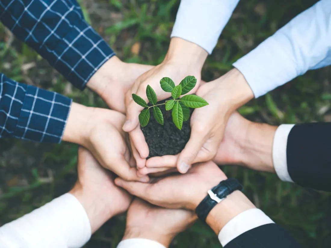 Intelligence collective territoire