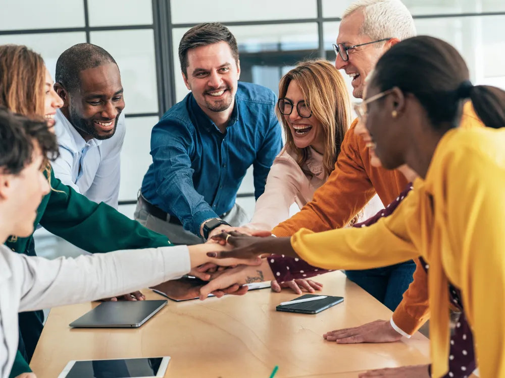 Co-développement professionnel