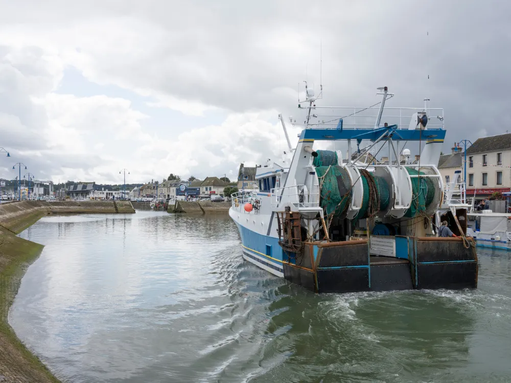 Pêche, aquaculture et mareyage